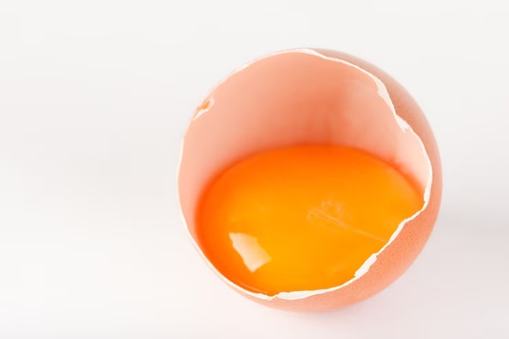 telur omega-3, telur biasa, perbedaan telur, manfaat telur omega-3, telur sehat untuk anak, makanan sehat keluarga, kuning telur oranye, kandungan gizi telur